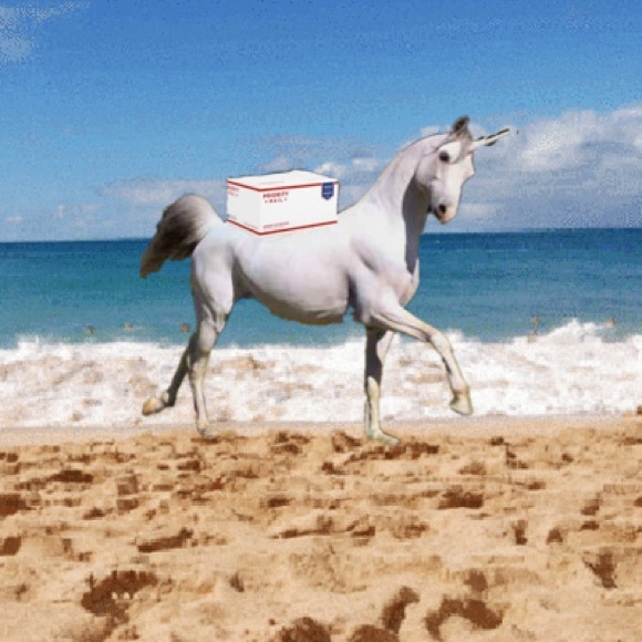 closet closing (taking a hiatus because baby #7) 🪴 - Picture 3 of 11